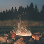Snugly Forest Escape BigEscapeGames