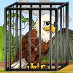 Soaring Eagle Escape Games2Live