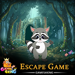 Soft Raccoon Escape Games4King