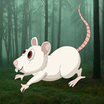 Soothing Mist Forest Escape BigEscapeGames