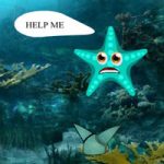 Star Fish Family Escape Games2Rule