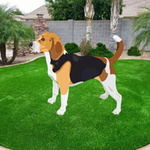 Stop The Barking Dog WowEscape