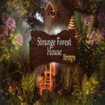 Strange Forest House Escape 365Escape