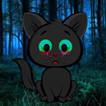 Strange Night Forest Escape BigEscapeGames