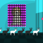 Street Dog Rescue Games2Live