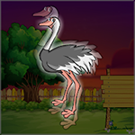Struthio Camelus Massaicus Rescue Games2Jolly