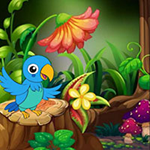Stuck Macaw Reached Hut Games2Rule