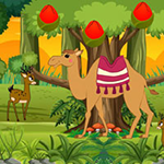 Stucked Camel Reach Desert BigEscapeGames
