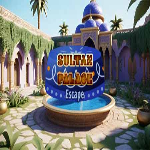 Sultan Palace Escape 365Escape