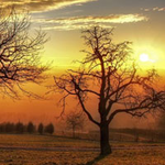 Sunset Scenery Land Escape Games2Rule