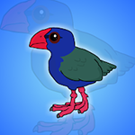 Takahe Bird Rescue From Wooden Cage Games2Jolly