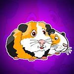 Teddy Guinea Pig Family Rescue Games2Jolly