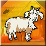The Boer Goat Rescue Games2Jolly