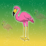 The Chilean Flamingo Escape Games2Jolly