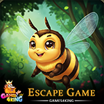 The Great Drone Escape Games4King