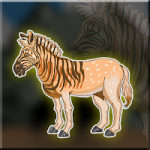 The Quagga Escape Games2Jolly