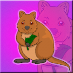 The Quokka Escape Games2Jolly