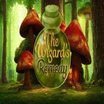 The Wizards Remedy Hidden247