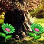 Thick Timber Forest Escape Games2Rule