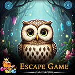 Tiny Owl Princess Escape Games4King