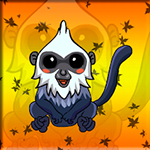 Trachypithecus Popa Rescue Games2Jolly