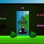 Trapped Bird Rescue Games2Live
