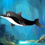 Trapped Dolphin Escape Games2Rule