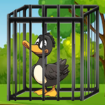Trapped Duck Escape Games2Mad