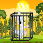 Trapped Hare Tales Games2Mad