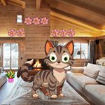 Trapped Innocent Cat Escape Games2Rule