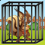 Trapped Squirrel Escape Games2Live