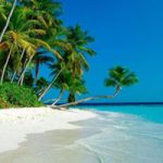 Tropical Beach Out Escape Games2Rule