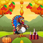 Turkey Pursuing Missed Girlfriend BigEscapeGames