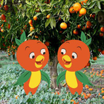 Twin Orange Birds Escape Games2Rule