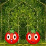 Twins Tomato Escape WowEscape