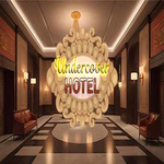 Undercover Hotel Hidden247