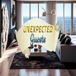 Unexpected Guests Hidden247