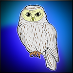 Ural Owl Escape Games2Jolly