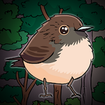 Veery Bird Escape Games2Jolly