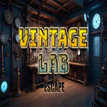 Vintage Lab Escape 365Escape