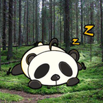 Wakeup The Snooze Panda Games2Rule