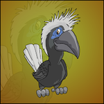 White Crowned Hornbill Escape Games2Jolly