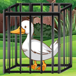 White Duck Rescue Games2Mad