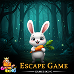 White Fluff Hare Escape Games4King