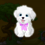 White Lap Dog Escape Games2Jolly