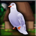 White Pigeon Bird Escape Games2Jolly