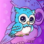 Wild Blue Owl Rescue Games2Jolly