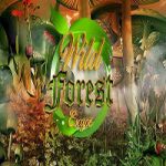 Wild Forest Escape 365Escape