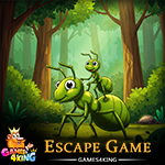 Wild Green Ants Rescue Games4King