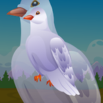 Wild Pigeon Escape Games2Jolly